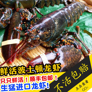 一箸鲜香，跨越山海——冷链海鲜与家禽的极致品味