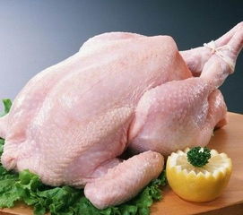 旭众牌家禽脱毛机 国内畅销品牌，高效便捷的家禽加工利器